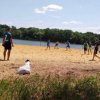 Районные соревнования по пляжному футболу и пляжному волейболу